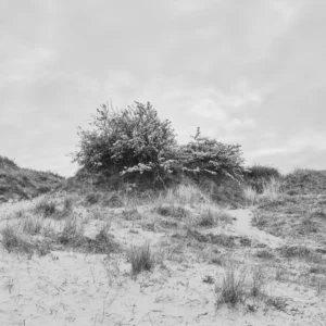 Kenfig Dunes Photography project ©Christopher Llewellyn - all rights reserved