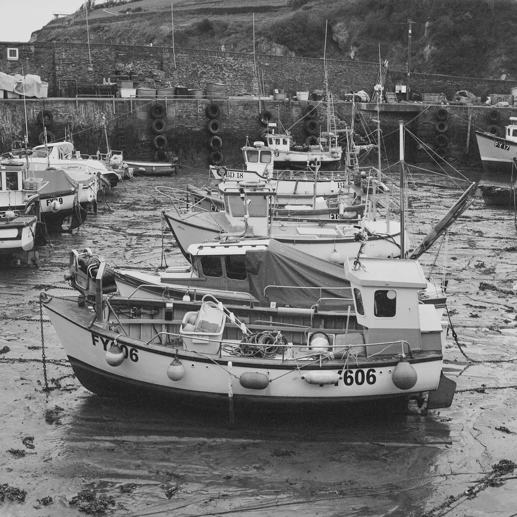 © Christopher Llewellyn - all rights reserved