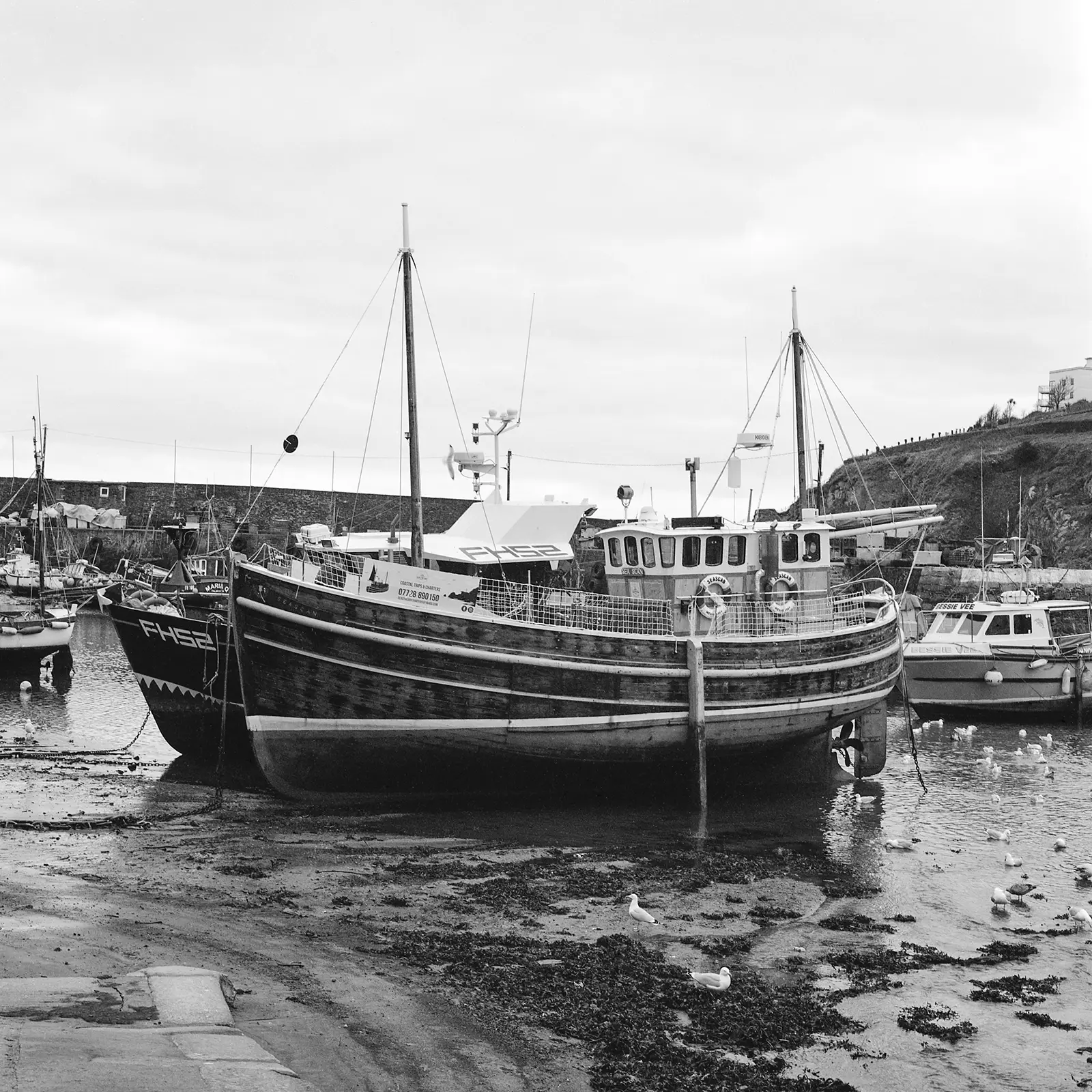 © Christopher Llewellyn - all rights reserved