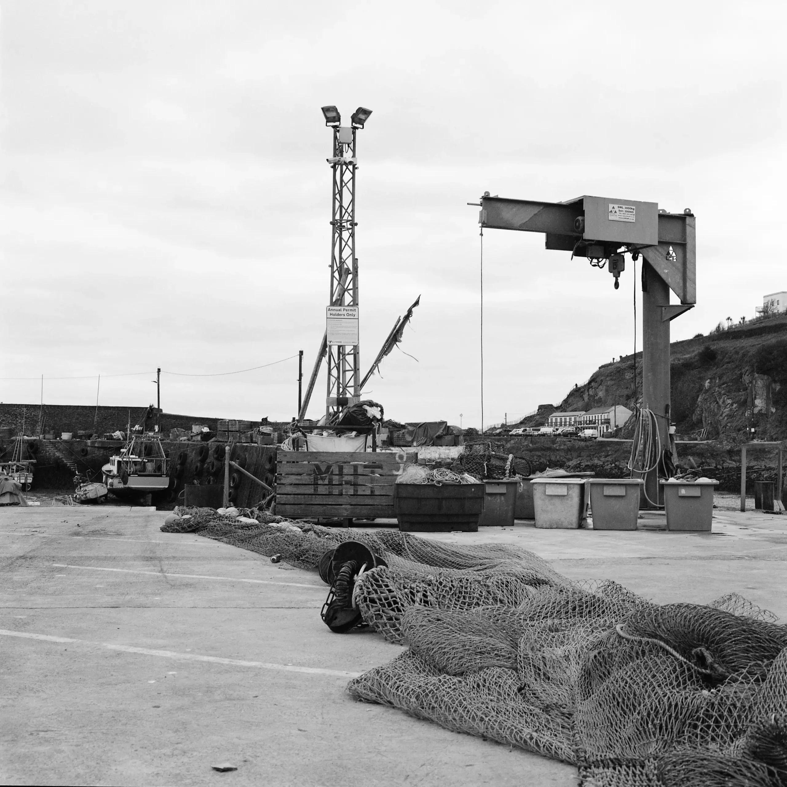 © Christopher Llewellyn - all rights reserved