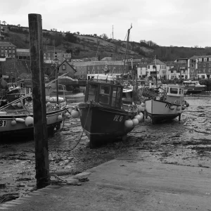 © Christopher Llewellyn - all rights reserved