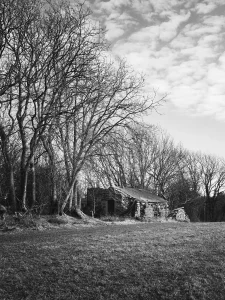 © Christopher Llewellyn - all rights reserved