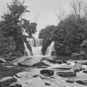 © Christopher Llewellyn - all rights reserved