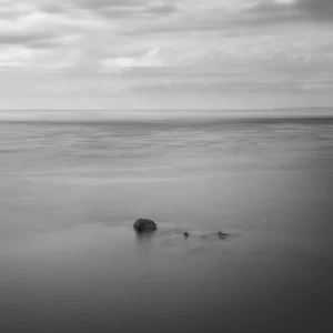 © Christopher Llewellyn - all rights reserved