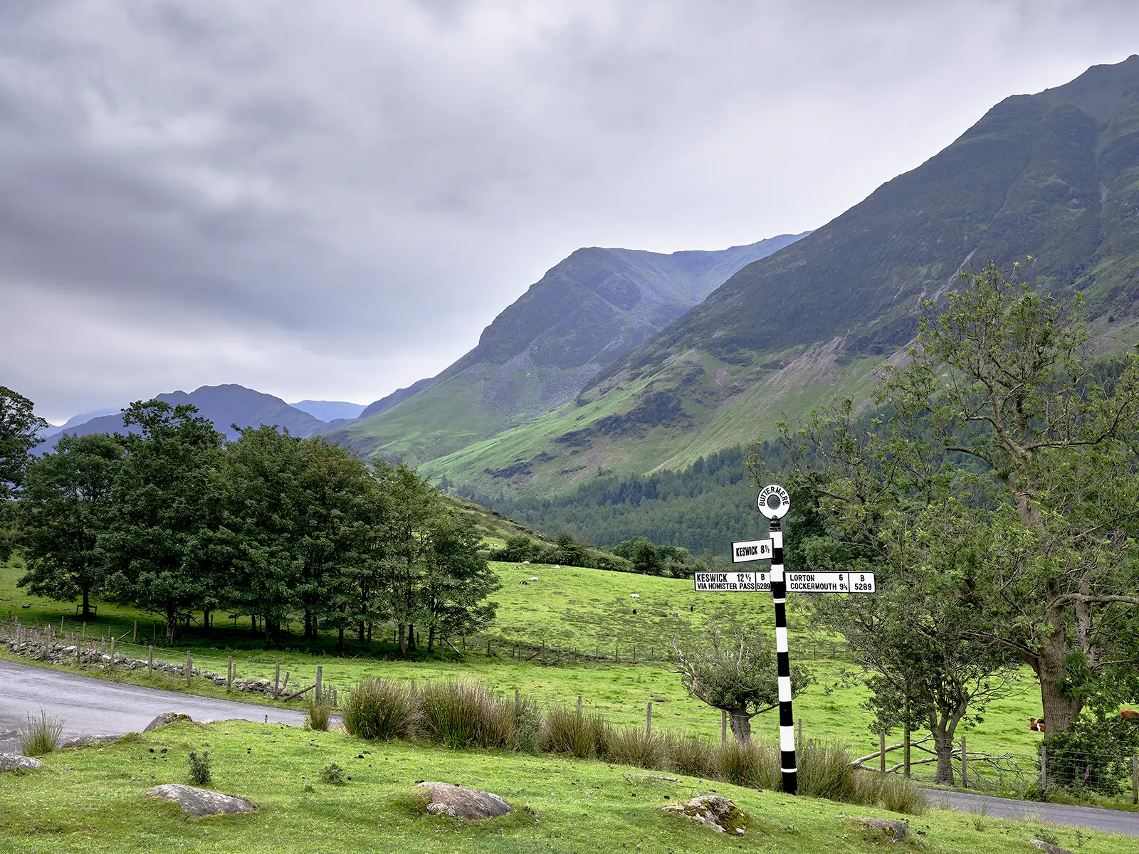 © Christopher Llewellyn - all rights reserved