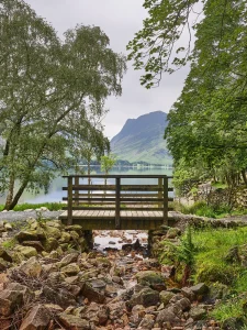 © Christopher Llewellyn - all rights reserved