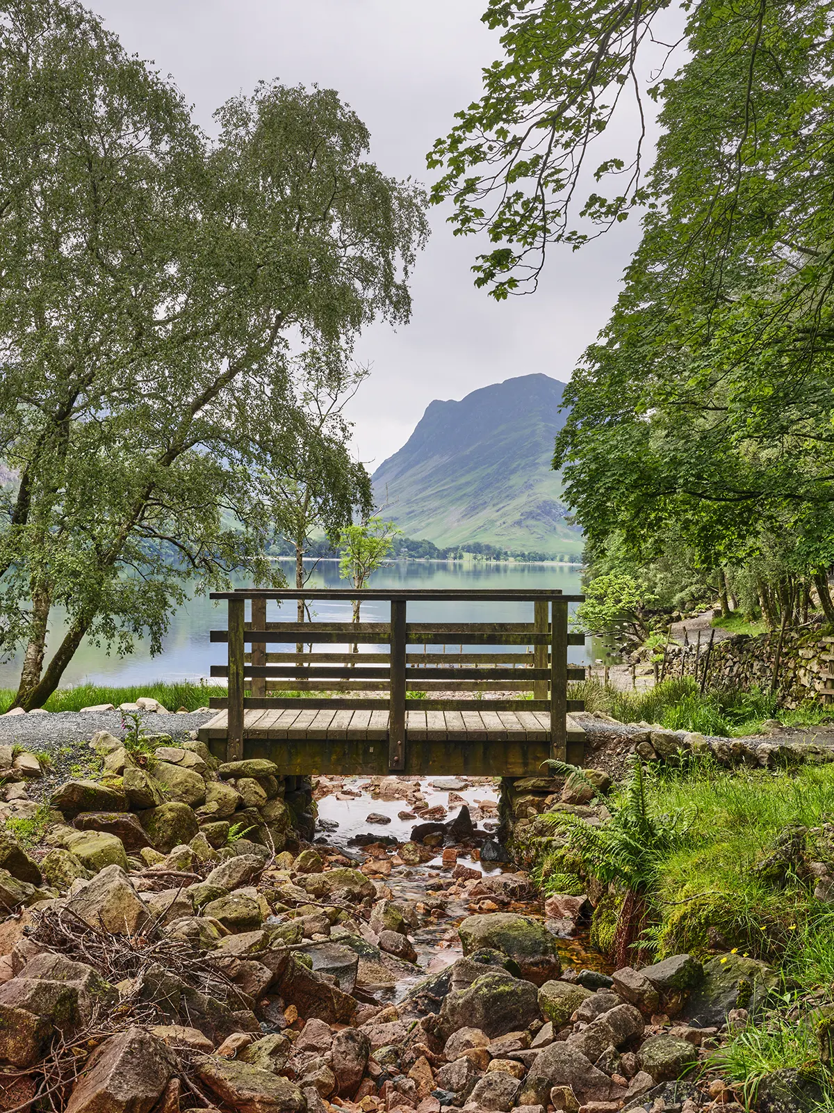 © Christopher Llewellyn - all rights reserved