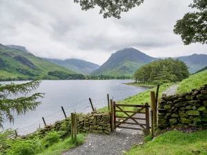 © Christopher Llewellyn - all rights reserved