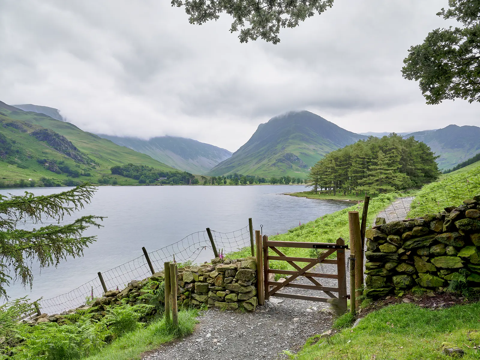 © Christopher Llewellyn - all rights reserved