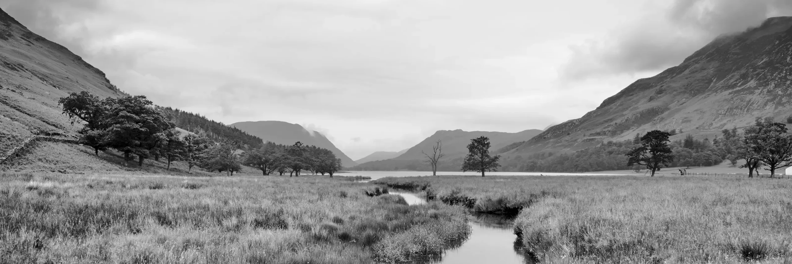 © Christopher Llewellyn - all rights reserved