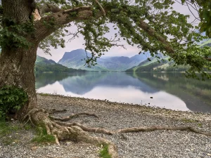 © Christopher Llewellyn - all rights reserved