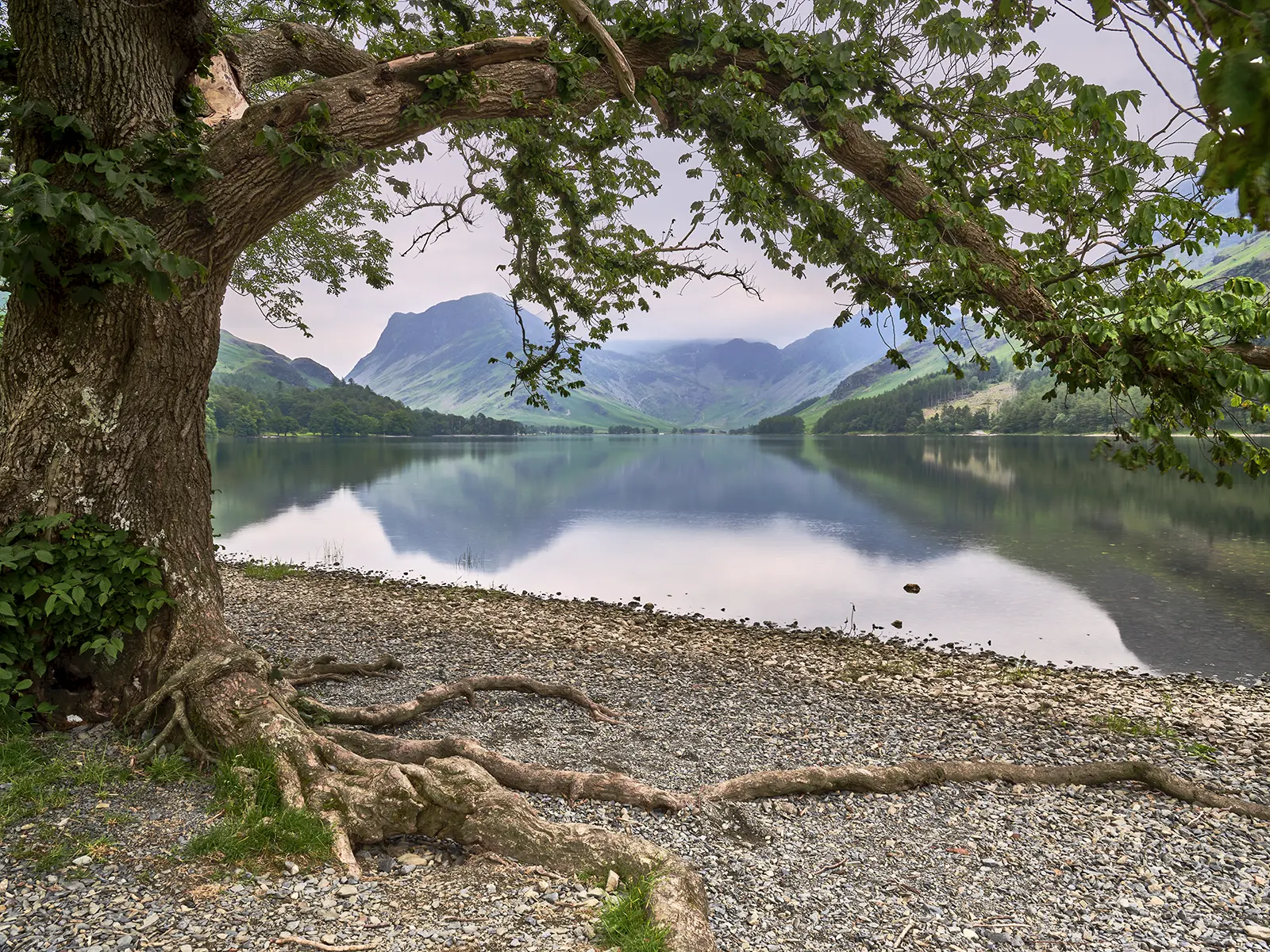 © Christopher Llewellyn - all rights reserved