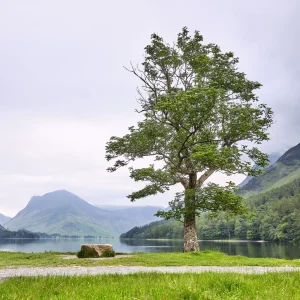 © Christopher Llewellyn - all rights reserved