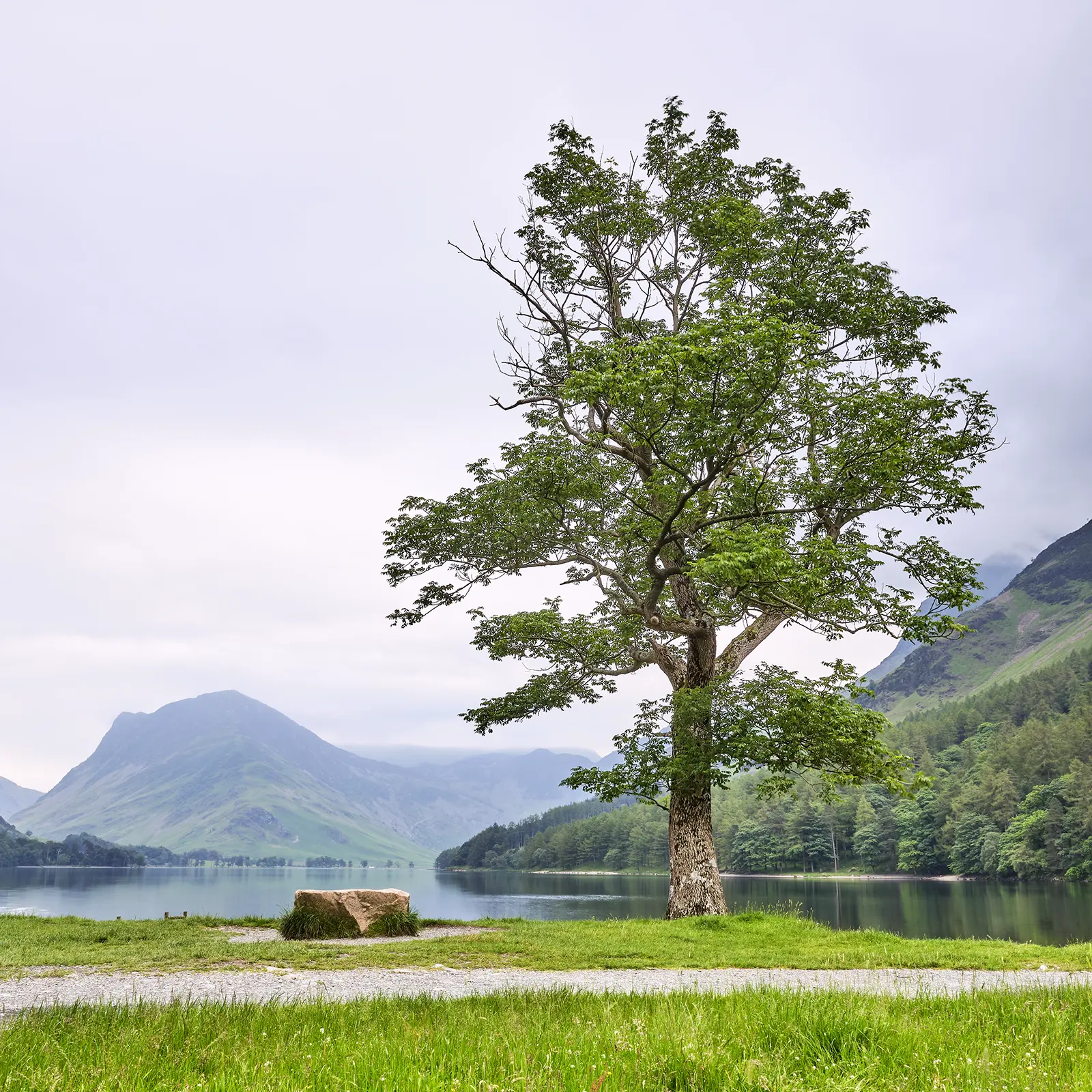 © Christopher Llewellyn - all rights reserved