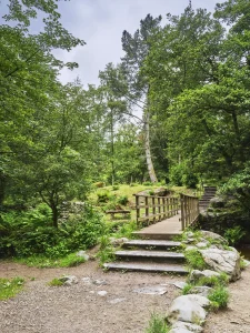 © Christopher Llewellyn - all rights reserved