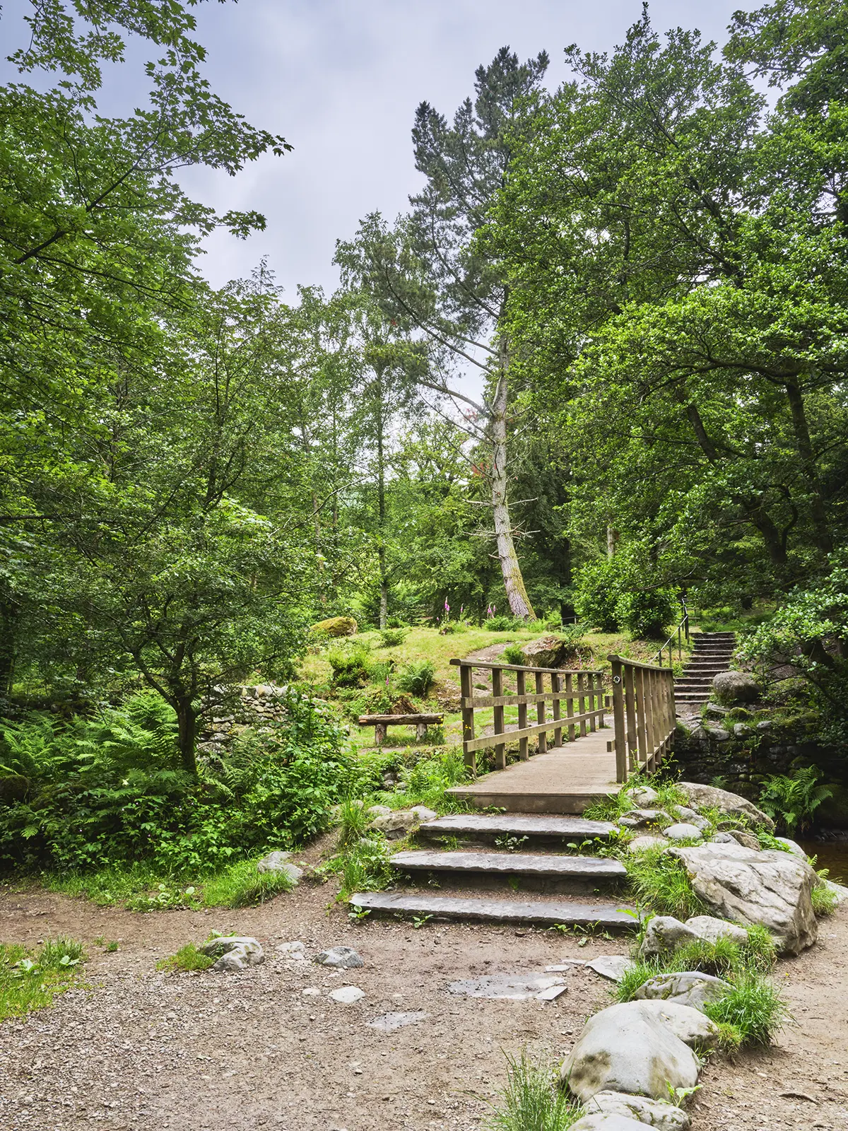 © Christopher Llewellyn - all rights reserved