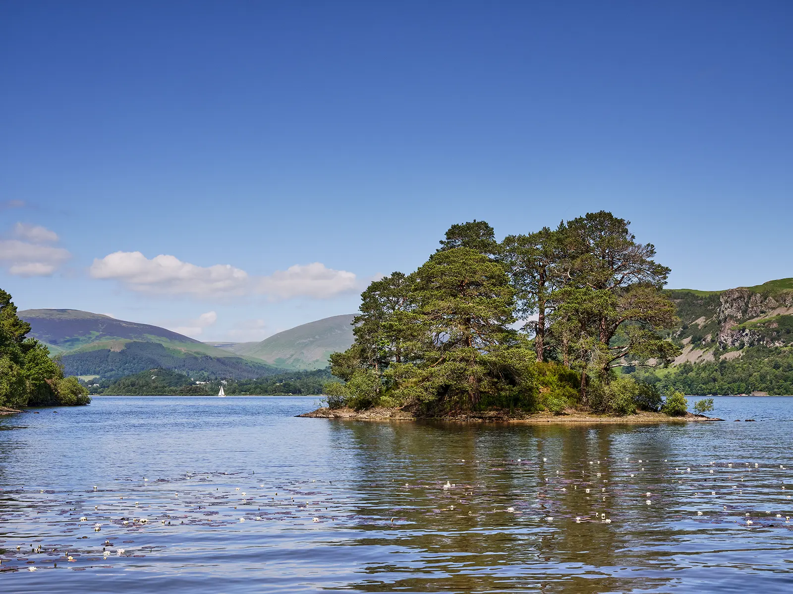 © Christopher Llewellyn - all rights reserved